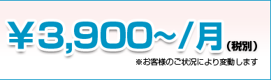 ￥3,900~/月(税別)※お客様のご状況により変動します